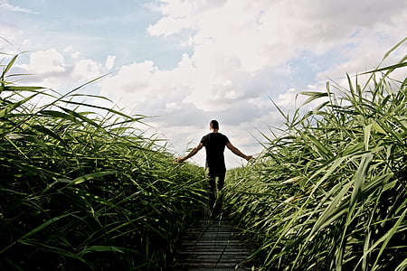 person wearing black top walking in between of green grass thumbnail
