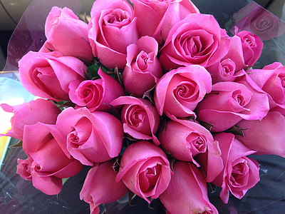 bouquet of pink roses thumbnail