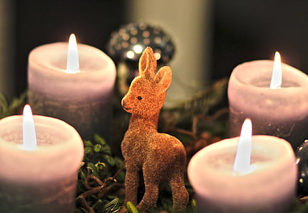 selective focus photography of brown deer decor between candles thumbnail