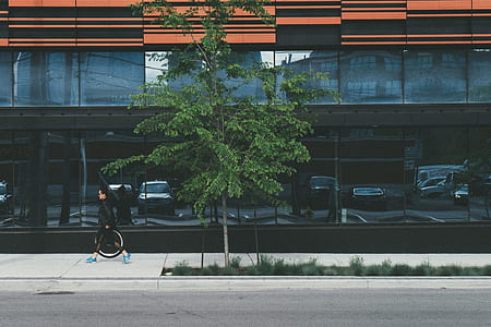 cars, road, vehicles, landscape thumbnail