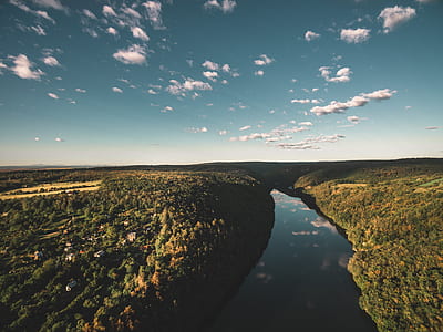 body of water between trees thumbnail