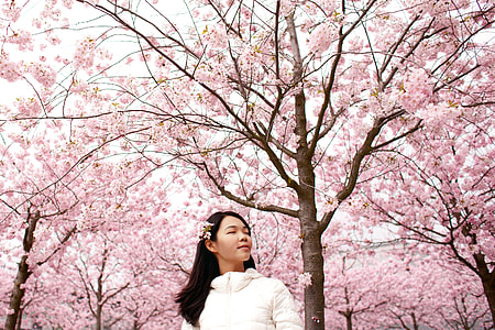 Girl under pink blossoms thumbnail