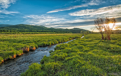 river along green grass field under cloudy sky at daytime thumbnail