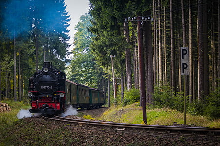 black and red train in black train track thumbnail