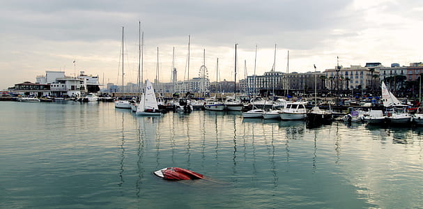 White Power Boat and Yacht Parked on Body of Water thumbnail