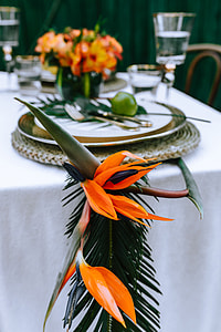 Colorful Exotic Flowers and Greenery thumbnail