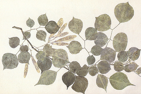 gray and brown leaves thumbnail