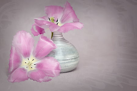 pink flowers with white vase thumbnail
