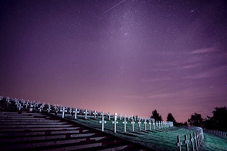 silhouette photo of cemetery near trees thumbnail