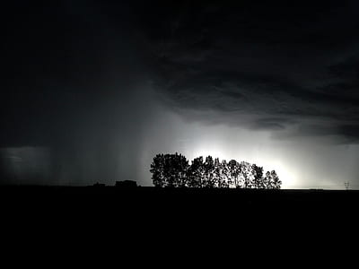 silhouette of trees thumbnail