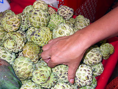Custard apples on sale in Thai market thumbnail