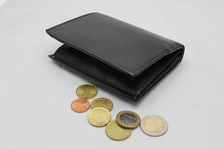 coin lot beside the bifold wallet thumbnail