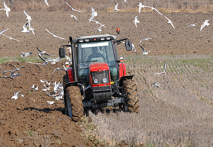 red tractor on farm field during daytime thumbnail