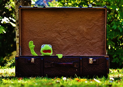 Kermit The Frog inside luggage thumbnail