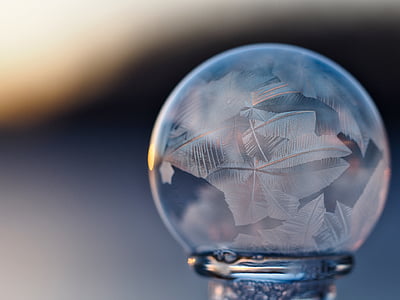 selective photo of clear leaf water globe thumbnail