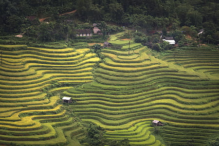 aerial view of rice terraces thumbnail
