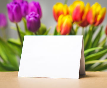romantic, flowers, spring, blur thumbnail
