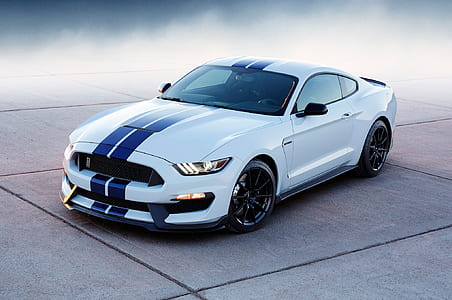 blue and white Ford Mustang coupe thumbnail