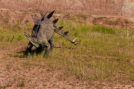 gray dinosaur on green grass field thumbnail