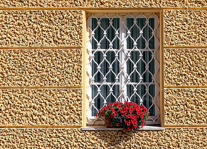 red flowers in white apron window thumbnail