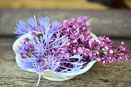 purple petaled flowers on bowl thumbnail