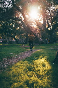 man walking near tree thumbnail