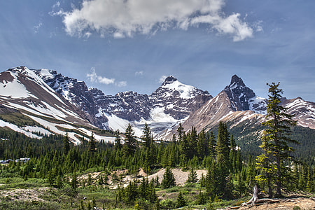 snow-covered mountain near trees under cloudy sky thumbnail