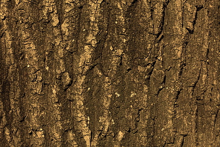 black surface thumbnail