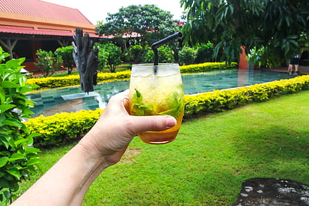 Cocktail Drink thumbnail