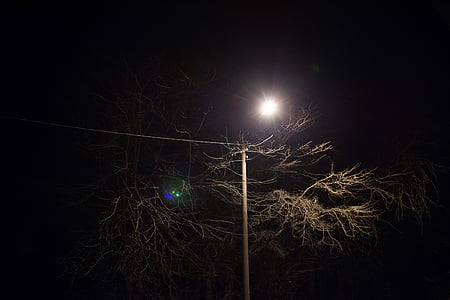 pole light near tree thumbnail