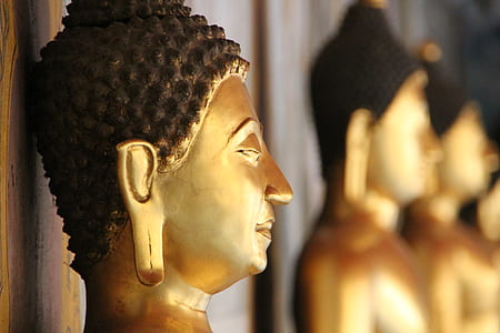 focus photography of Gautama figurine thumbnail