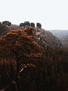 rock mountain with forest during daytime thumbnail