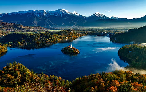 aerial photography of body of water surrounded by trees thumbnail