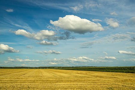 cumulonimbus clouds above grass field thumbnail