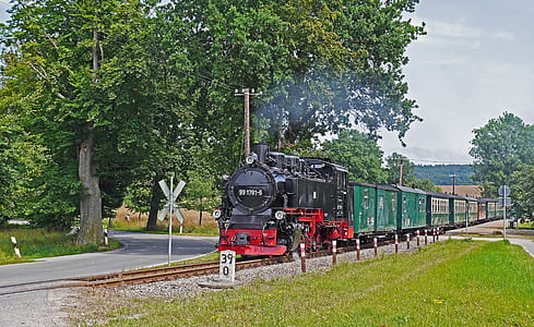 red, black, and green train on rails thumbnail