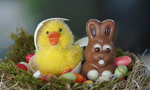 duck and bunny toy on basket thumbnail