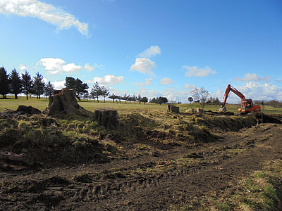 orange excavator near pine trees during daytime thumbnail