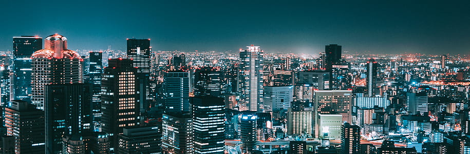 city skyline during nighttime thumbnail