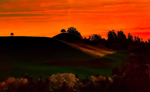 illustration of hill landscape during dawn thumbnail