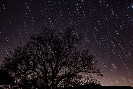 silhouette photo of tree during night time thumbnail