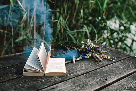 Colorful smoke bomb, book and vintage camera thumbnail