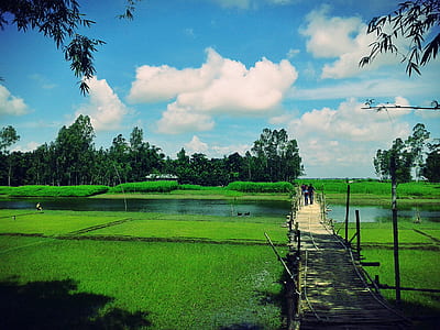 Scenic View of the Farm thumbnail