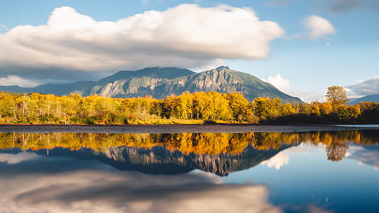 body of water beside trees thumbnail