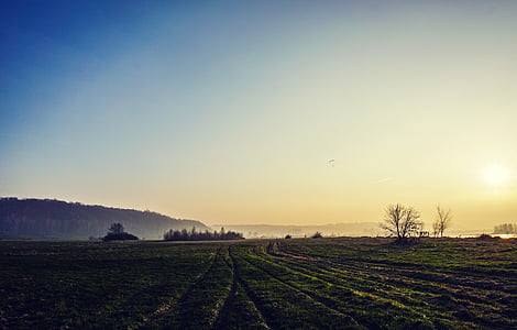 green lawn field under blue sky thumbnail