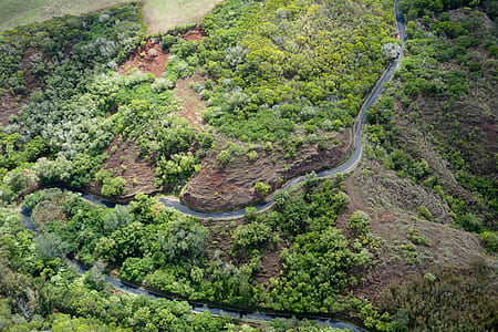 aerial photography of river surrounded with green trees thumbnail