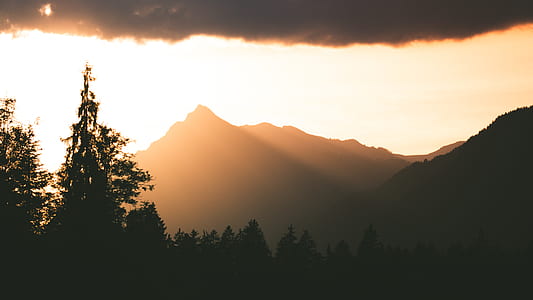 mountain and forest during golden hour thumbnail