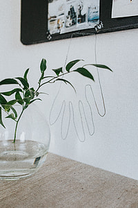 Home decor with green plants thumbnail