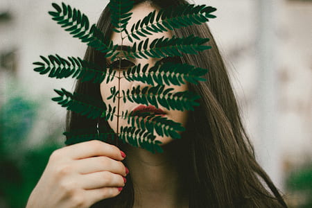 woman holds green leaf plant thumbnail