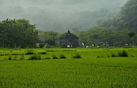 in distant gray architecture thumbnail