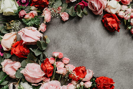 Flowers flat lay thumbnail